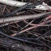 Conoce los casos más destacados sobre las hipotecas multidivisa del Banco Popular.