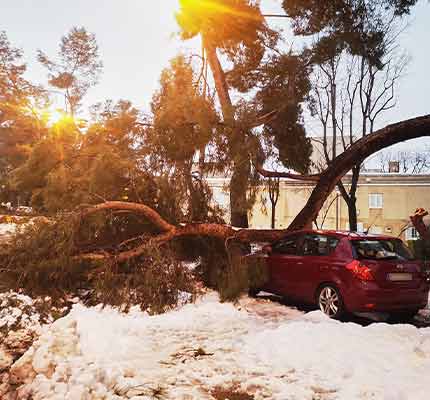 ayudas zona catastrófica