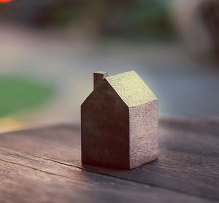 irph conjunto de entidades